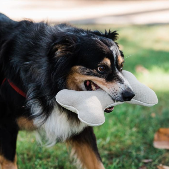 Boba & Vespa Natural Dog Toy Bundle for Cuddles, Fetch and Tugging - Small to Large Dogs Options